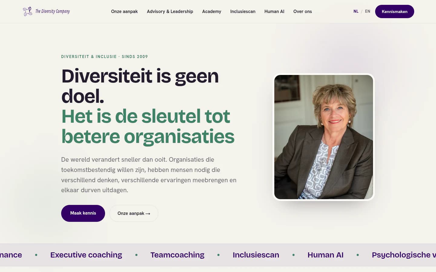 The Diversity Company